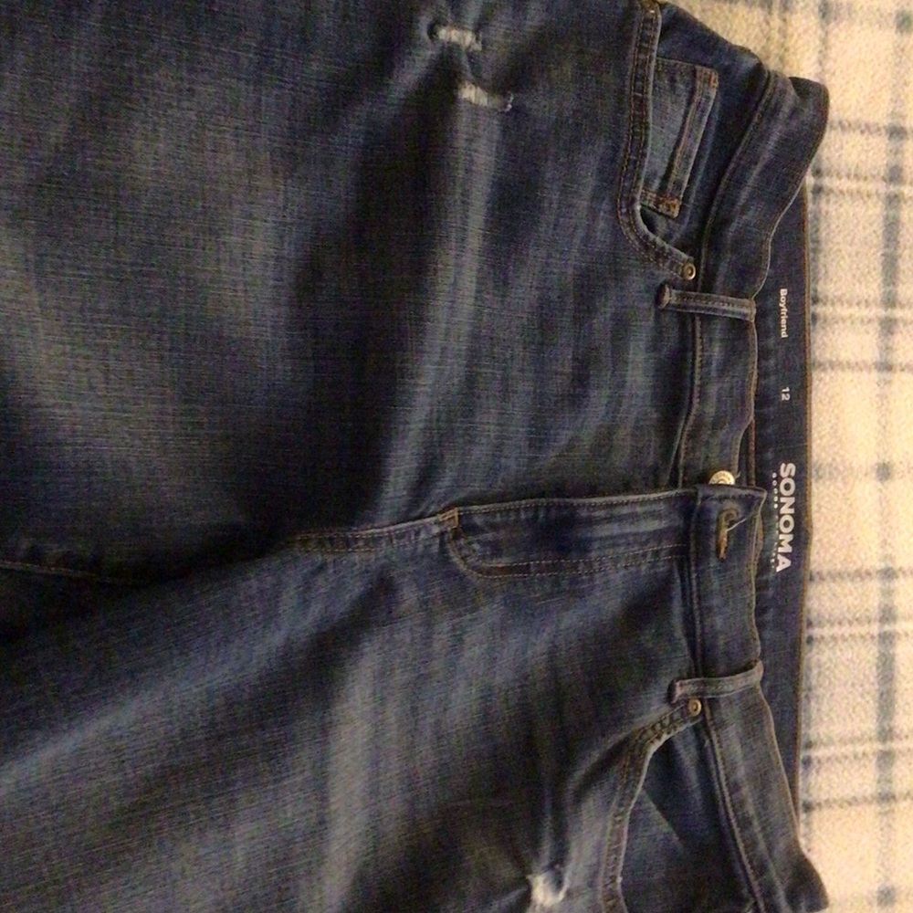 Sonoma Classic Indigo Jeans